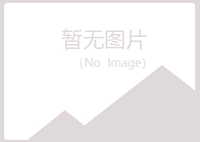 池州白山能源有限公司